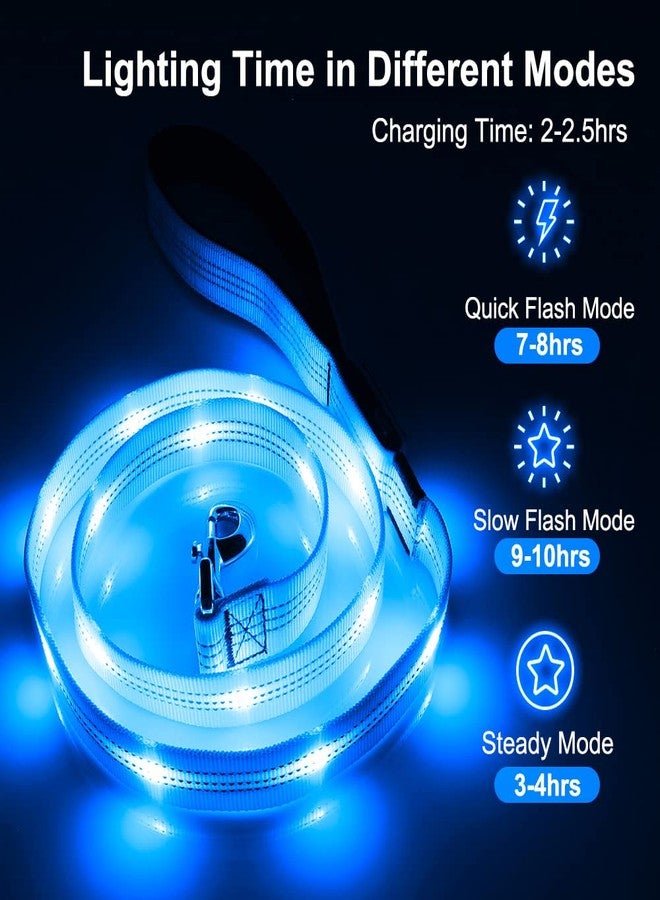 BSEEN LED Dog Leash - 4 Ft Light Up Dog Leash Rechargeable Glowing Pet Leash Reflective Puppy Lead Safety Dog Lights for Night Walking (BlueⅡ, 120cm) - Image 2